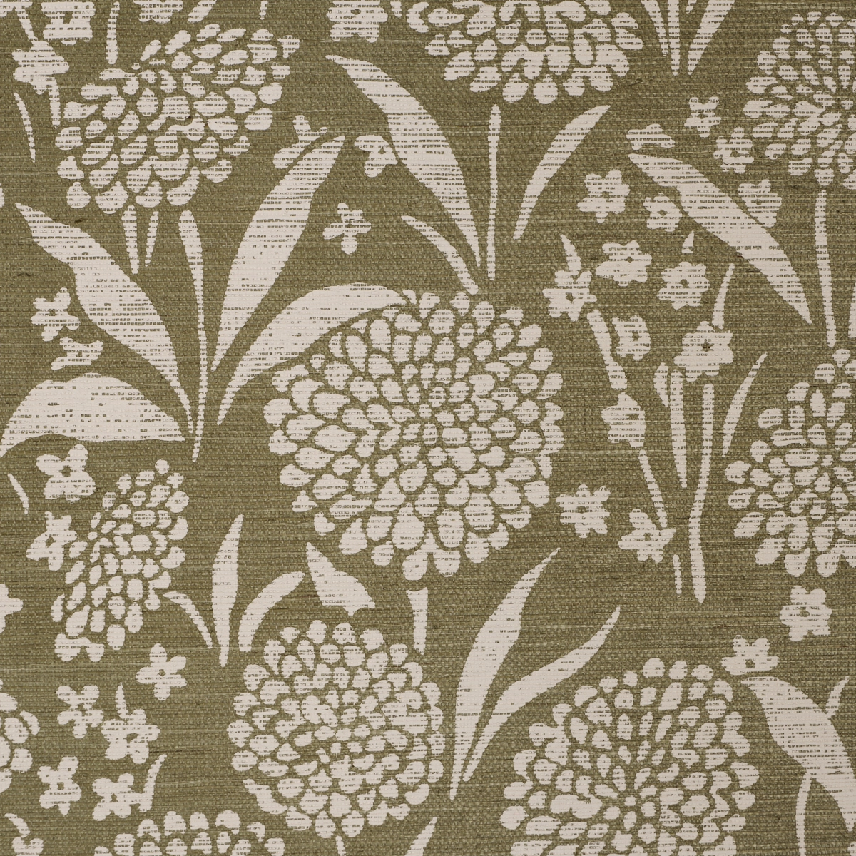 Chrysanthemum Sisal_ JUNIPER
