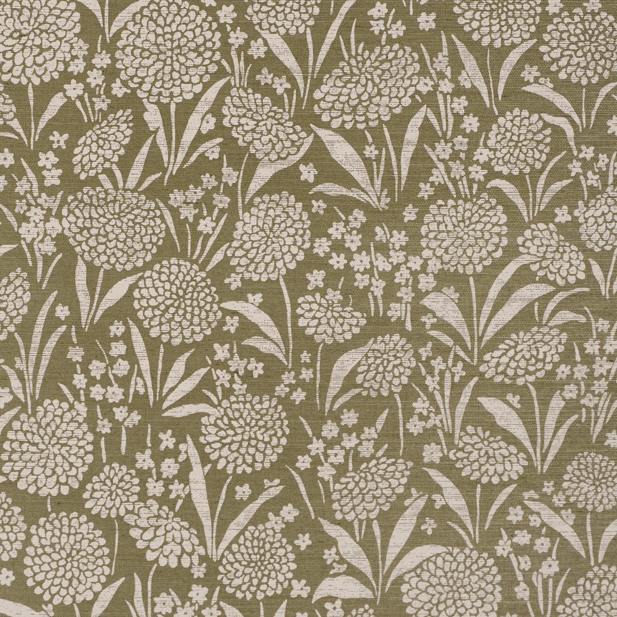Chrysanthemum Sisal_ JUNIPER