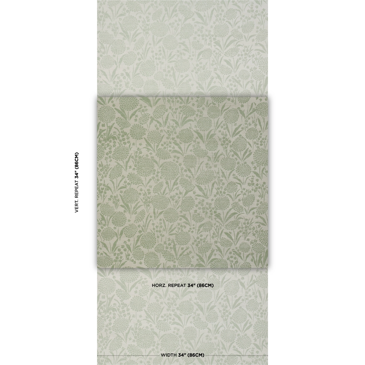 Chrysanthemum Sisal_ WILLOW