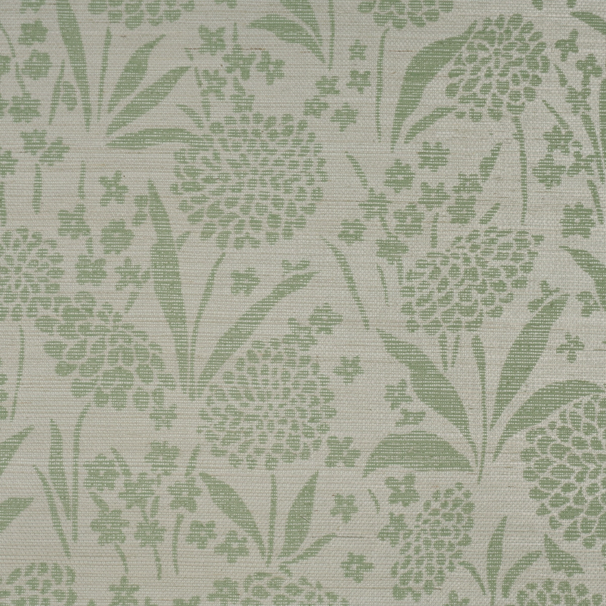 Chrysanthemum Sisal_ WILLOW