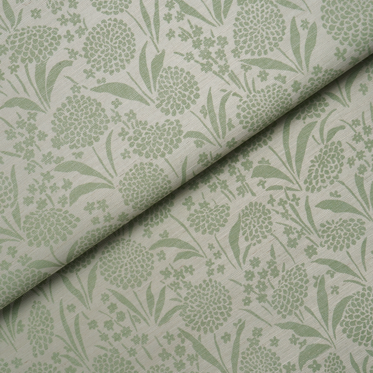 Chrysanthemum Sisal_ WILLOW