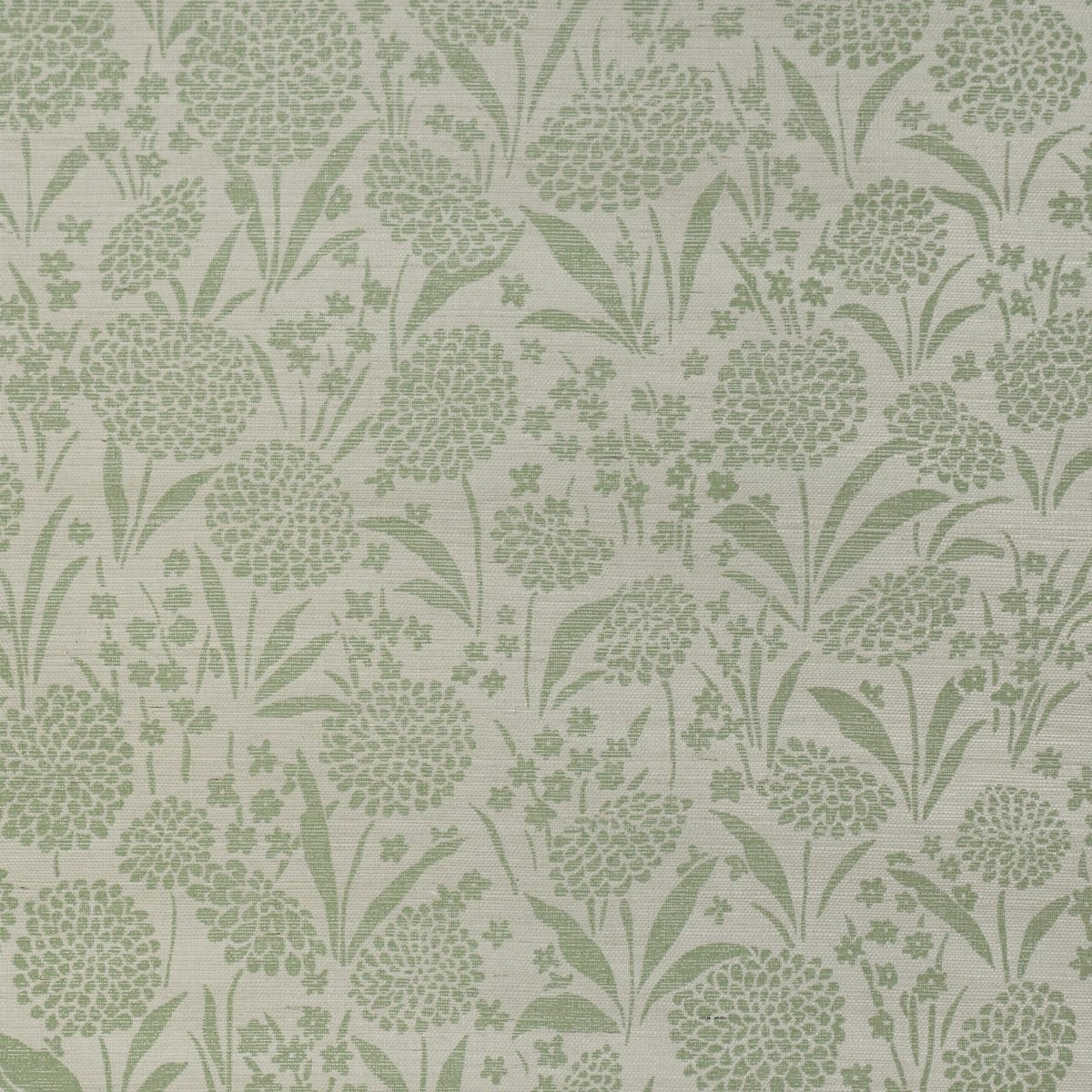Chrysanthemum Sisal_ WILLOW