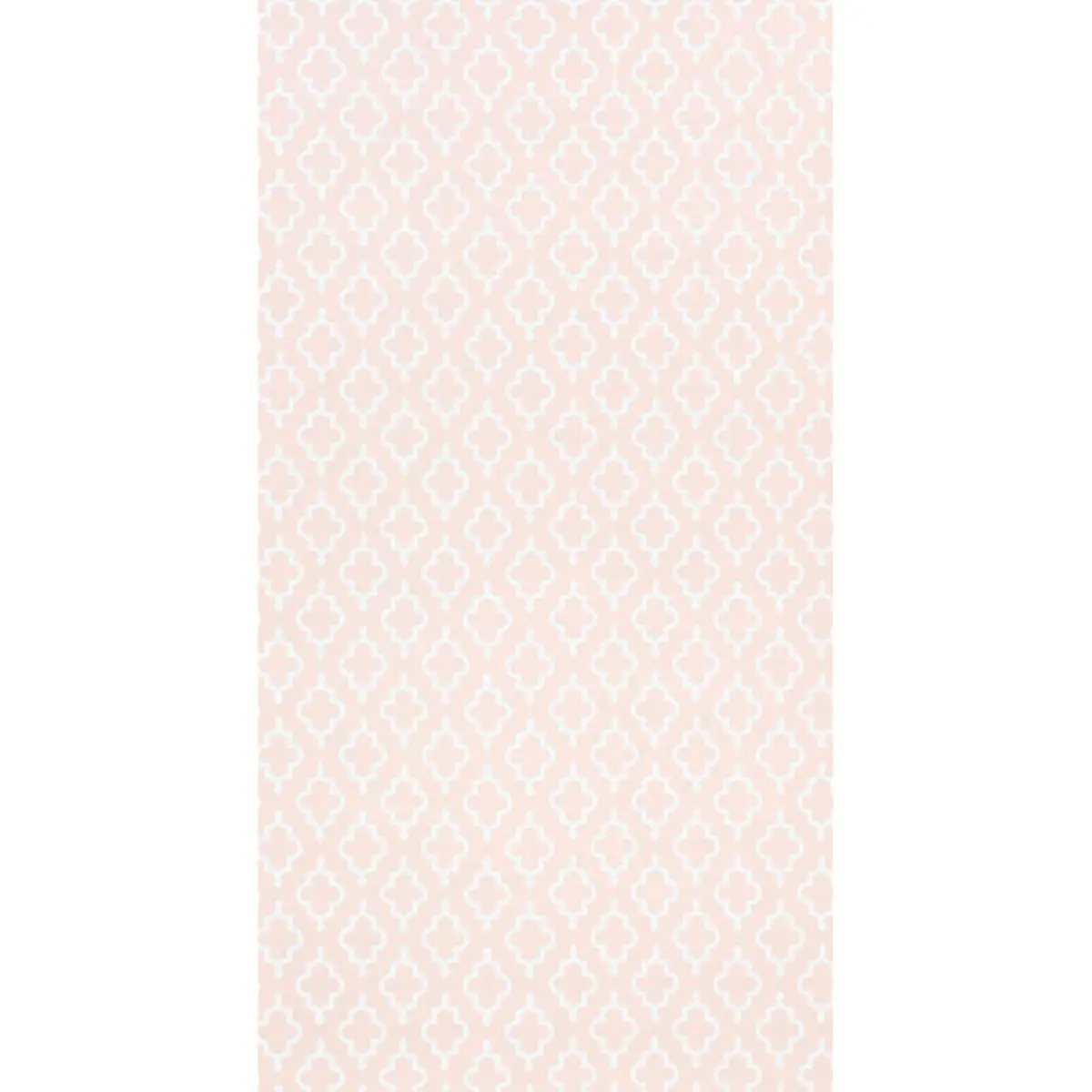 JAKE_ QUIET PINK