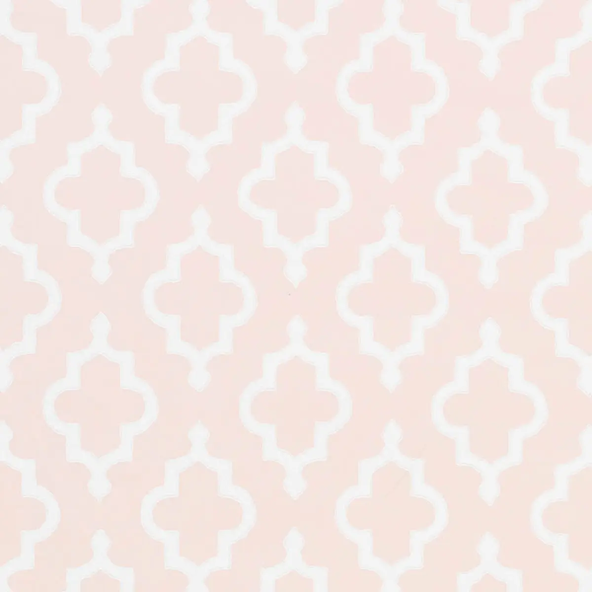 JAKE_ QUIET PINK