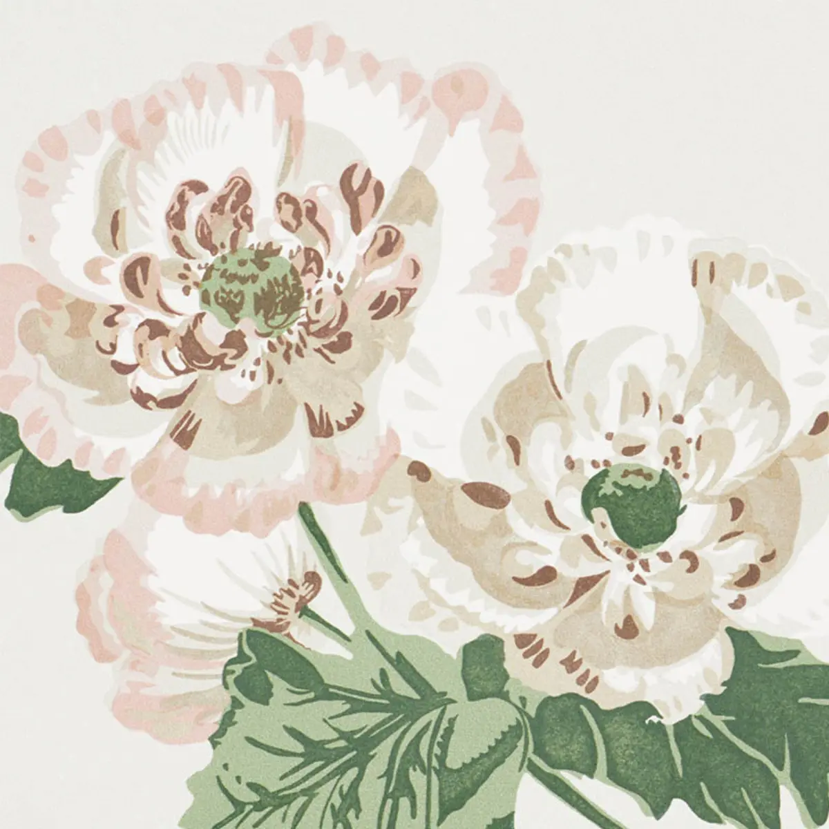 BETTY_ QUIET PINK