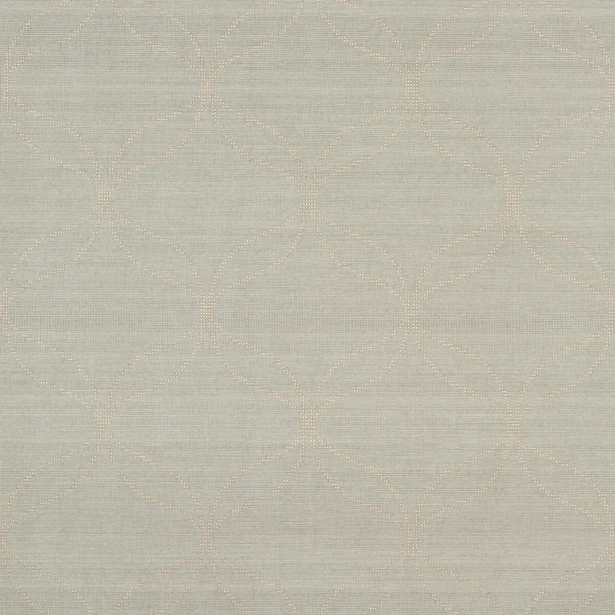 CASAVOLA_ JASPER