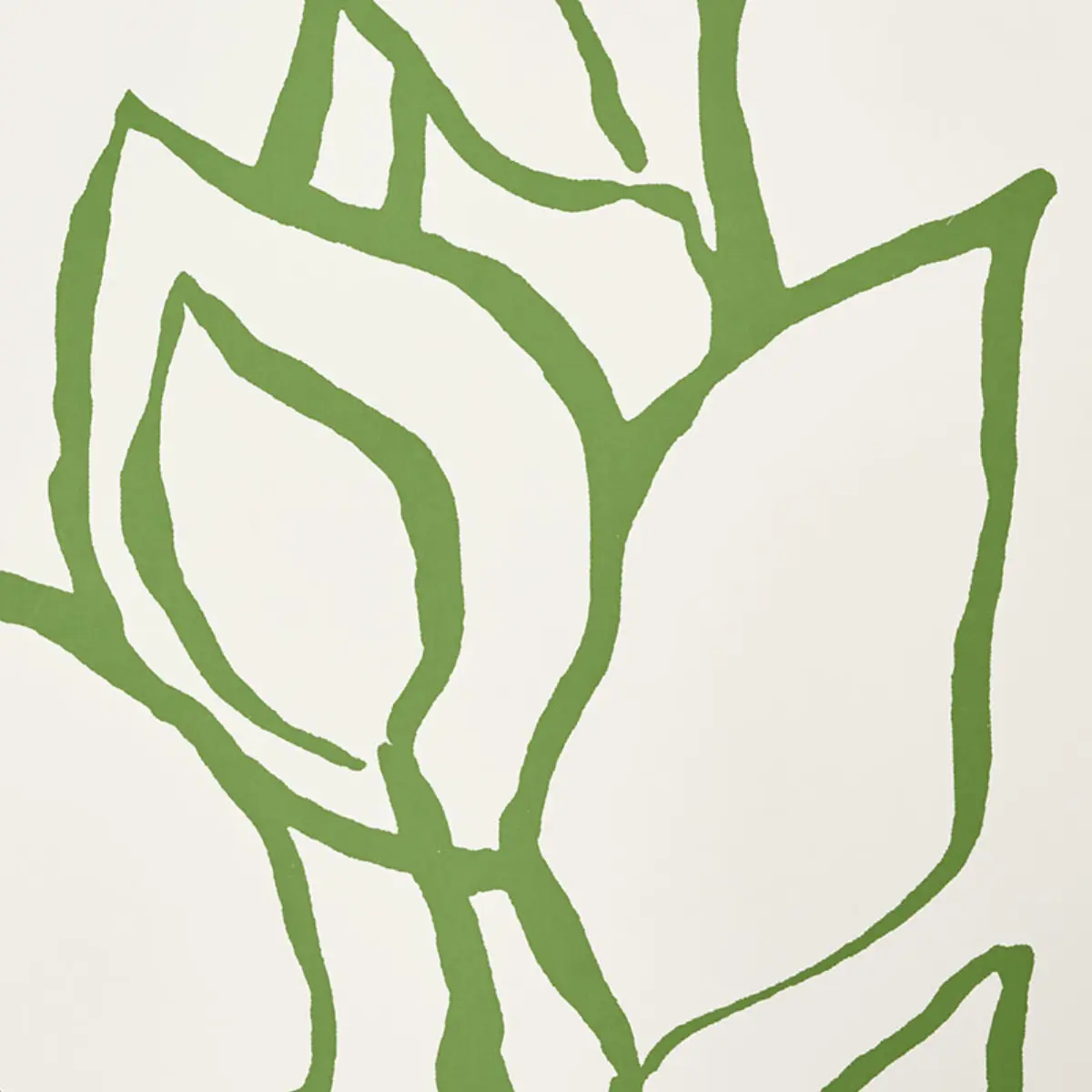 SOLANDRA VINE_ LEAF