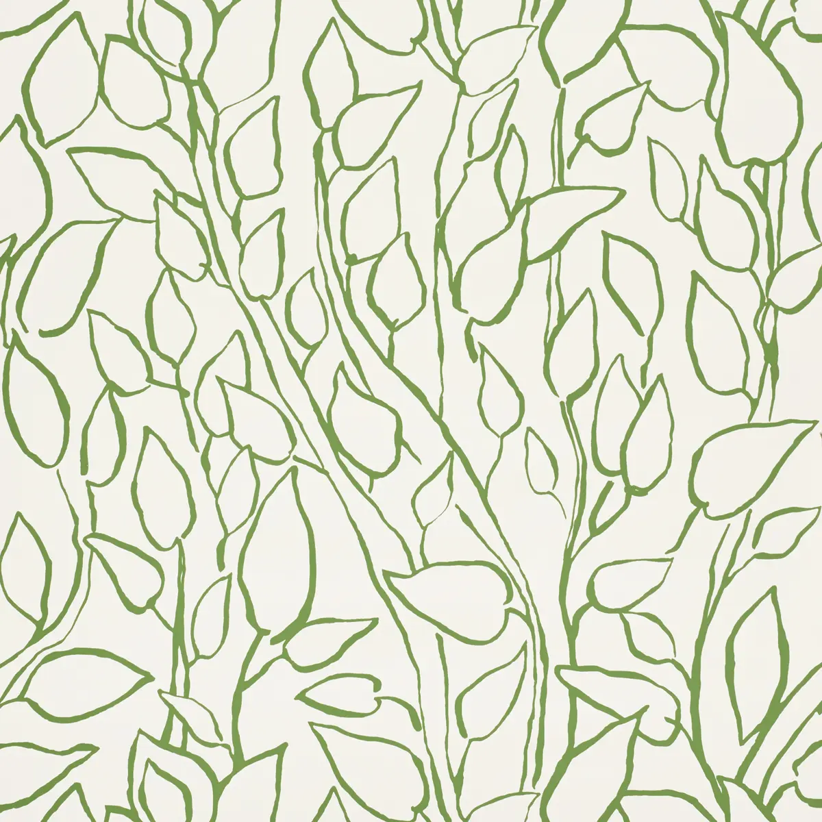 SOLANDRA VINE_ LEAF