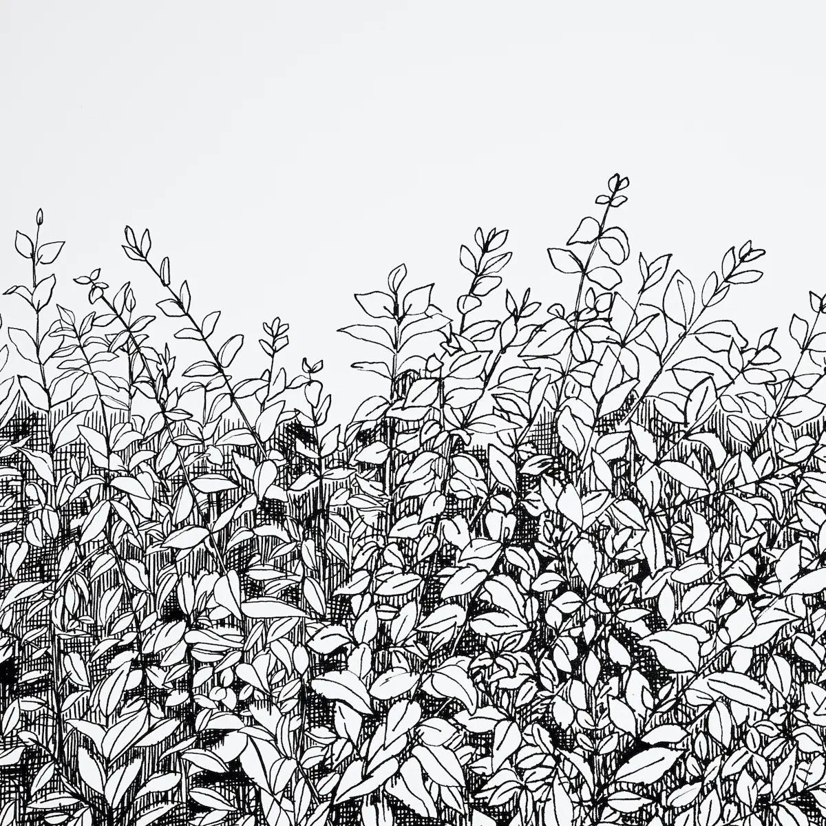 GREENERY GALORE VINYL PANEL_ BLACK