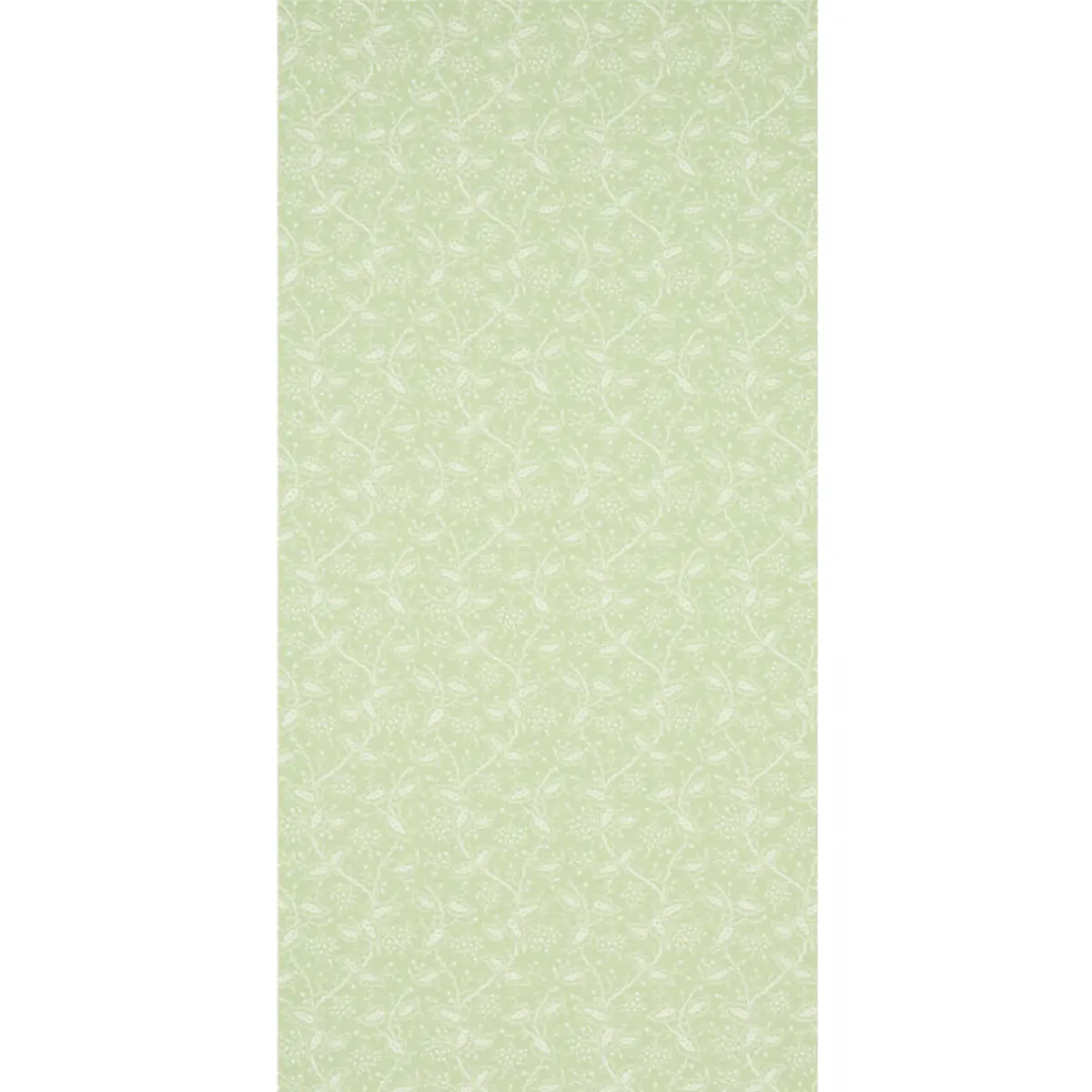 DARBY_ LEAF