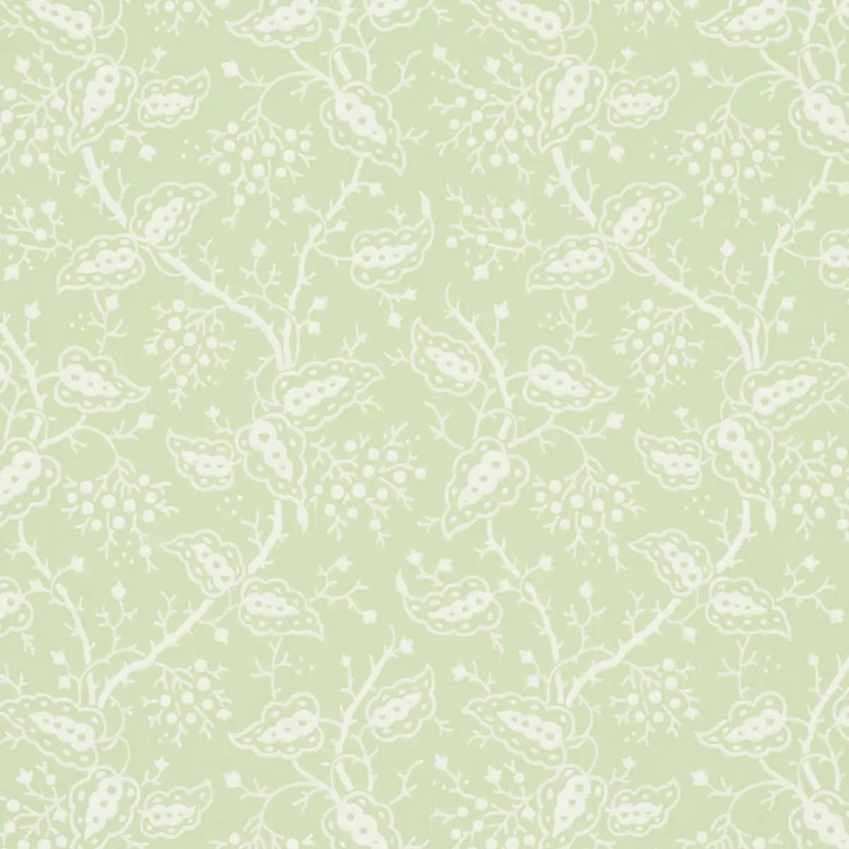 DARBY_ LEAF