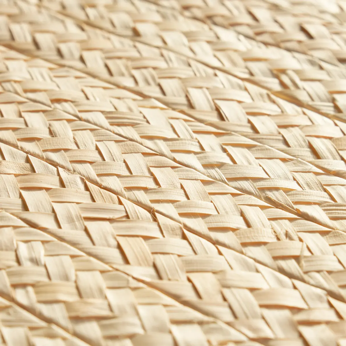 BRAIDED BURI_ NATURAL