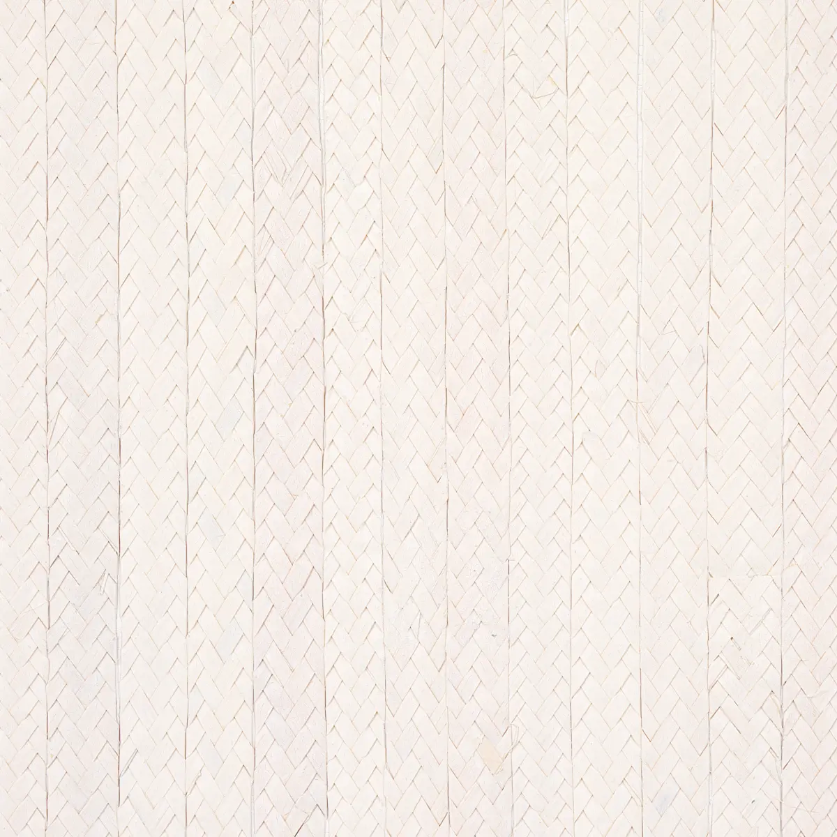 BRAIDED BURI_ IVORY