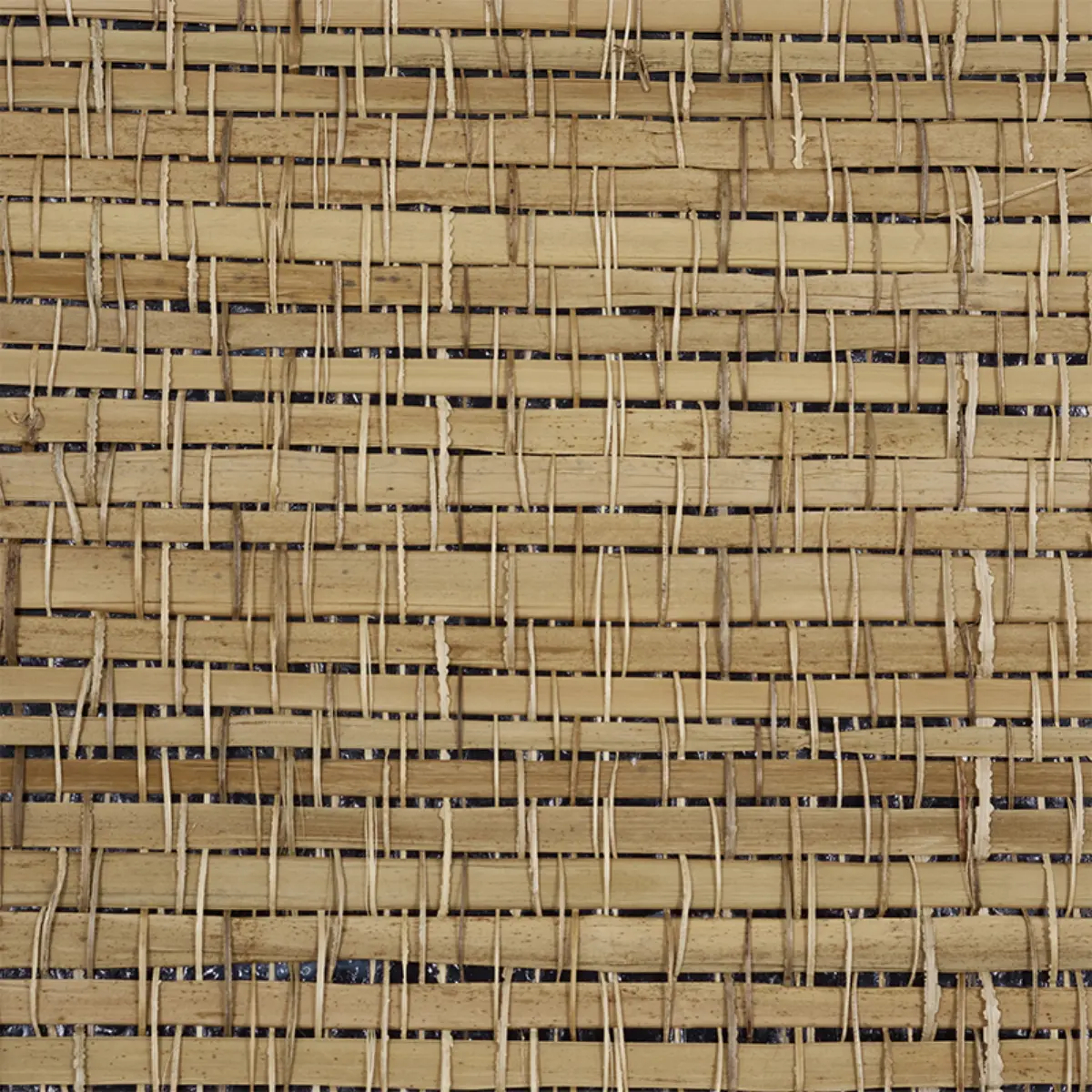 PALM WEAVE_ NATURAL