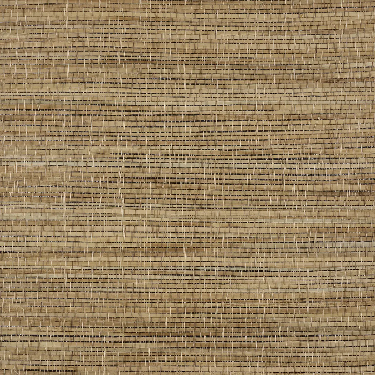 PALM WEAVE_ NATURAL