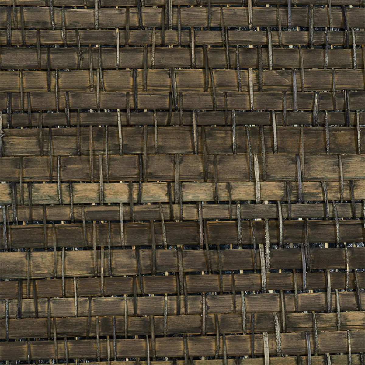 PALM WEAVE_ BARK