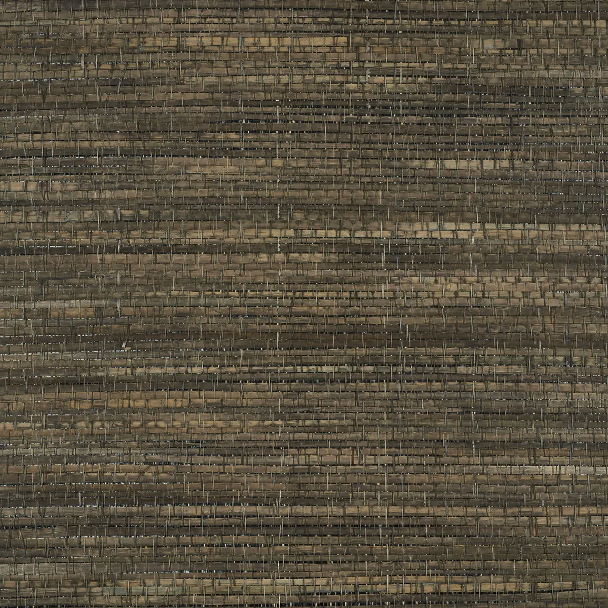 PALM WEAVE_ BARK