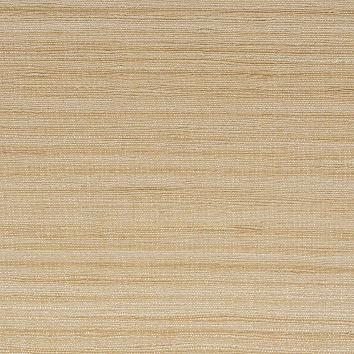 SILK STRIE_ PARCHMENT