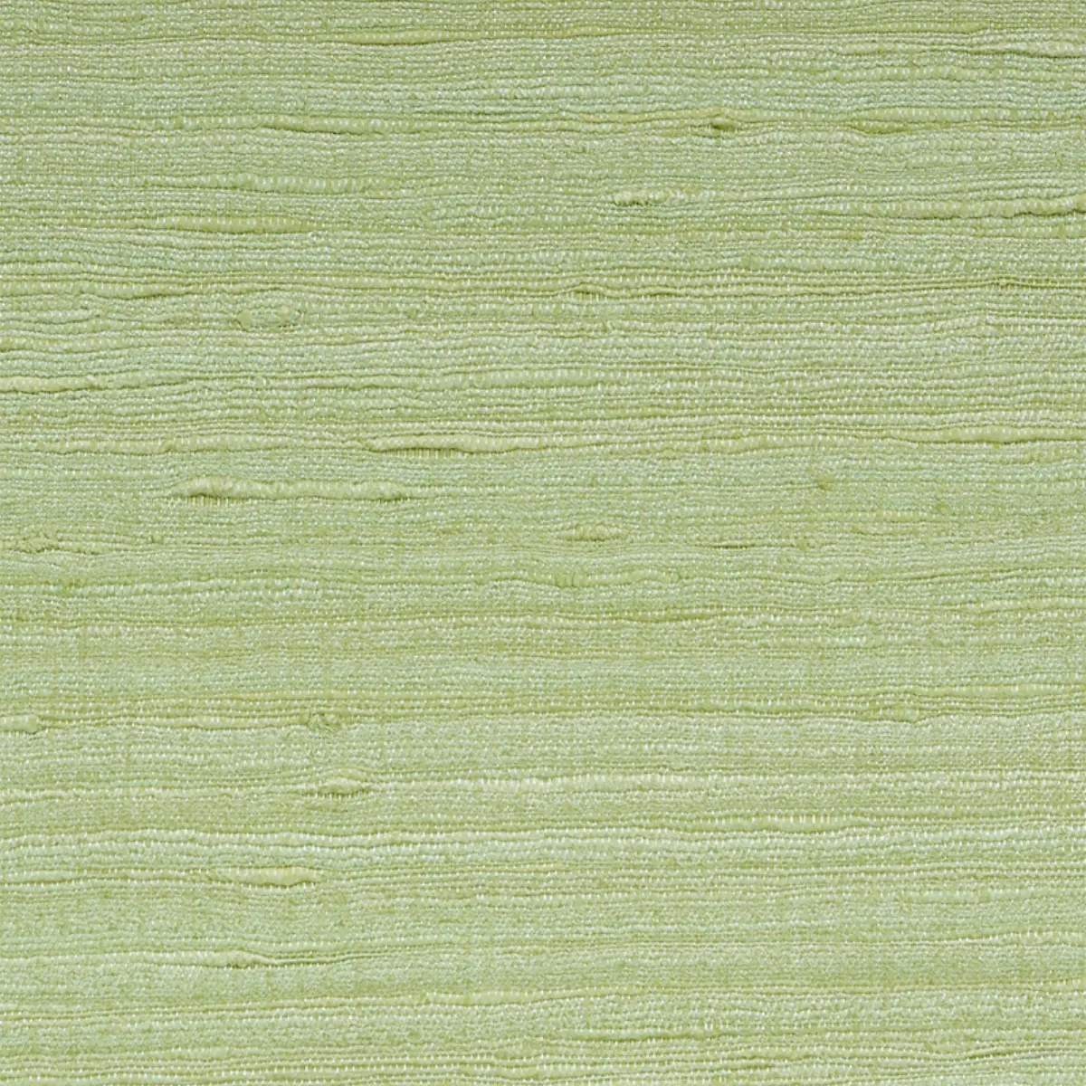 SILK STRIE_ LEAF