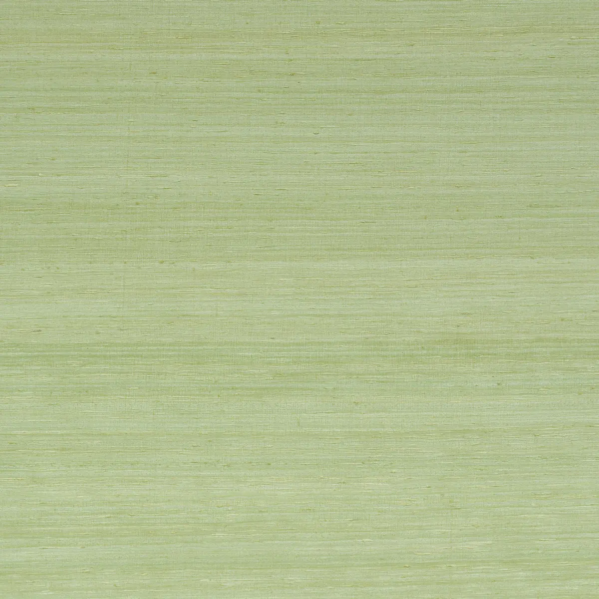 SILK STRIE_ LEAF