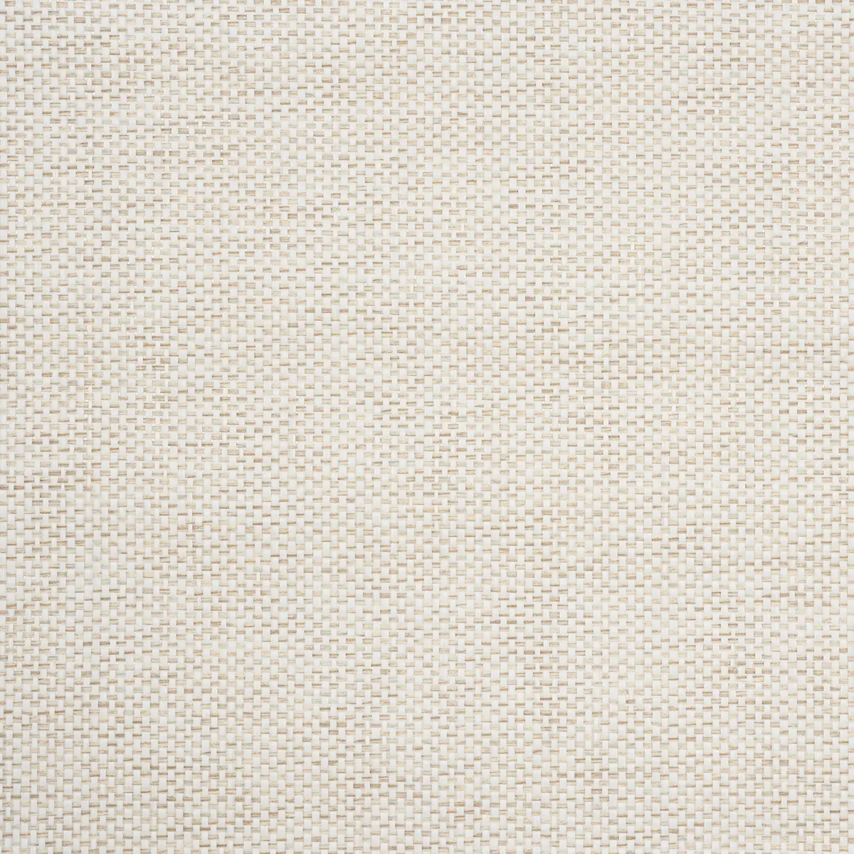 TONAL PAPERWEAVE_ IVORY