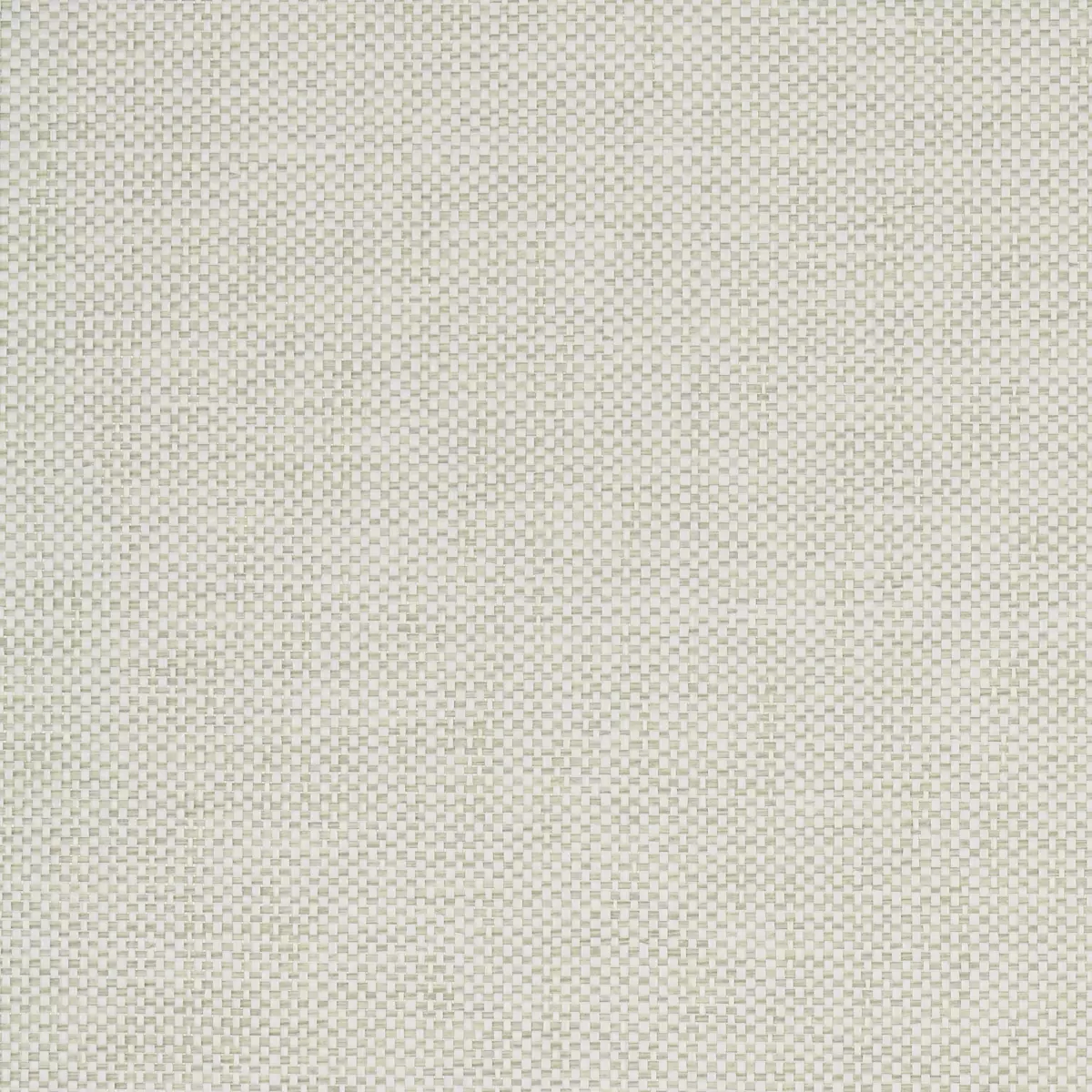 TONAL PAPERWEAVE_ SAGE