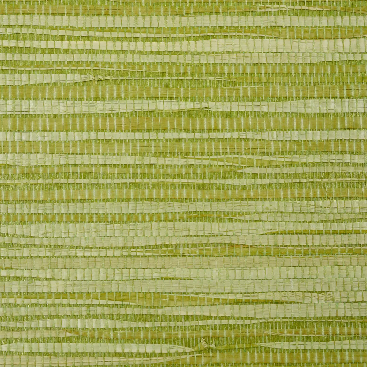 DYED RAFFIA_ LEAF