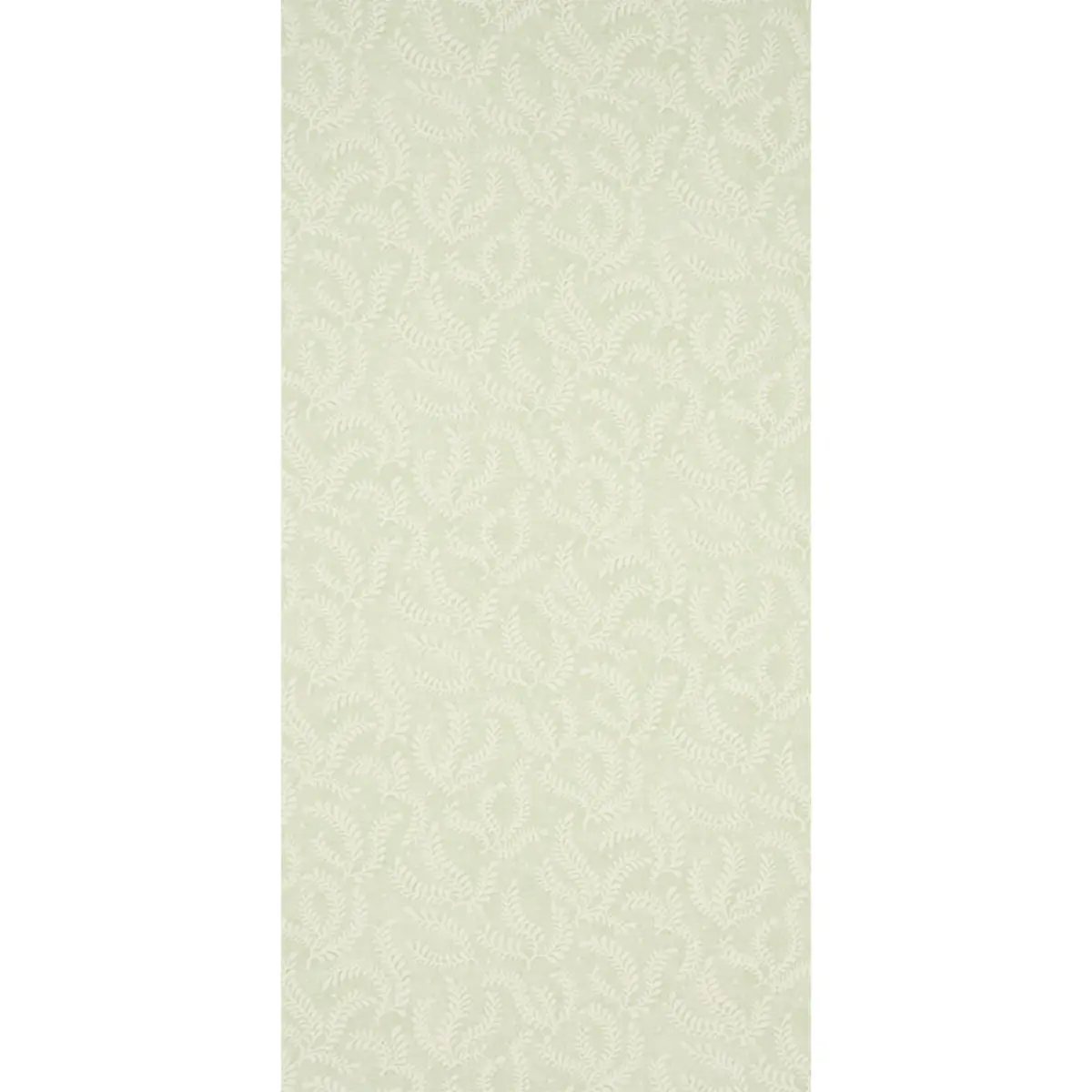 ETCHED FERN_ LEAF