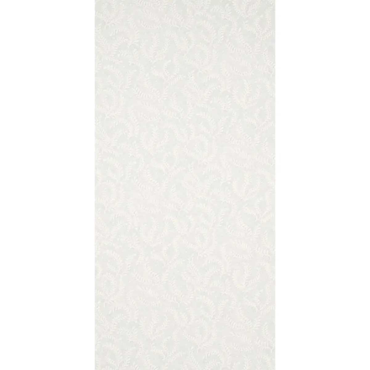 ETCHED FERN_ SKY