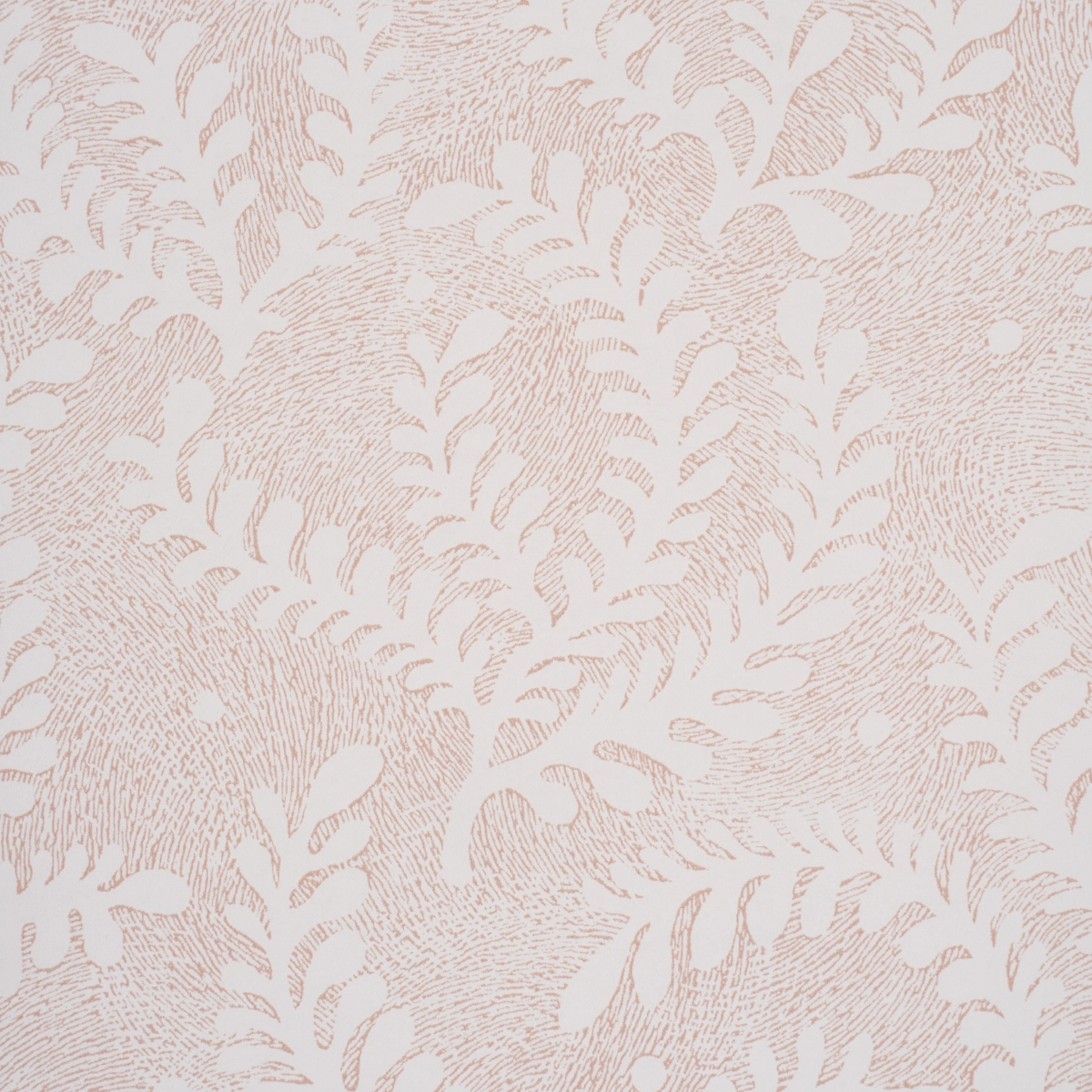 Etched Fern_ BLUSH
