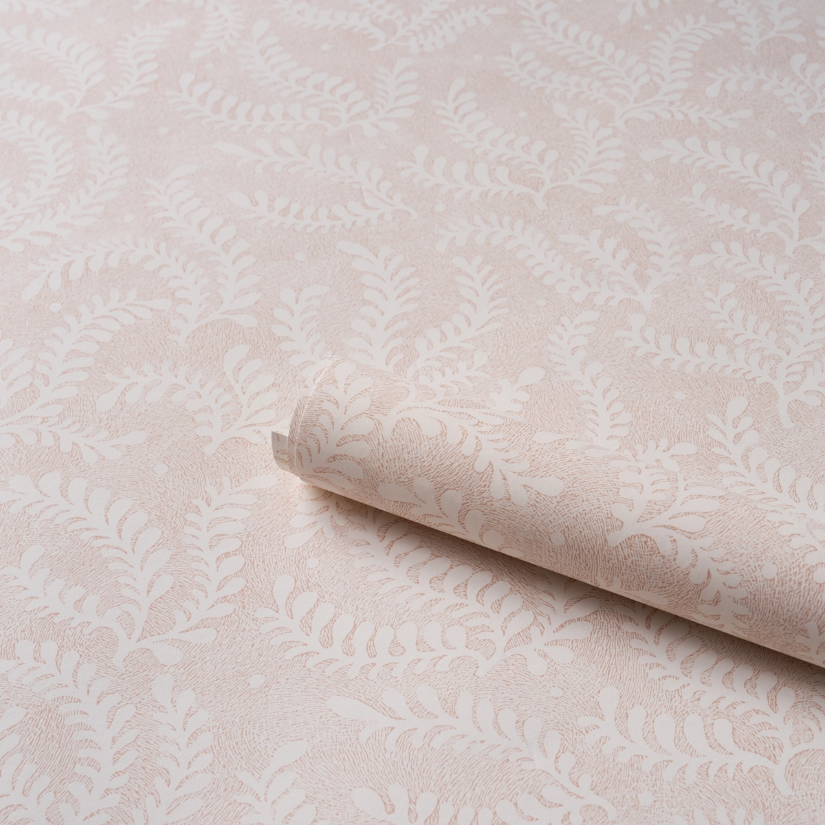 Etched Fern_ BLUSH