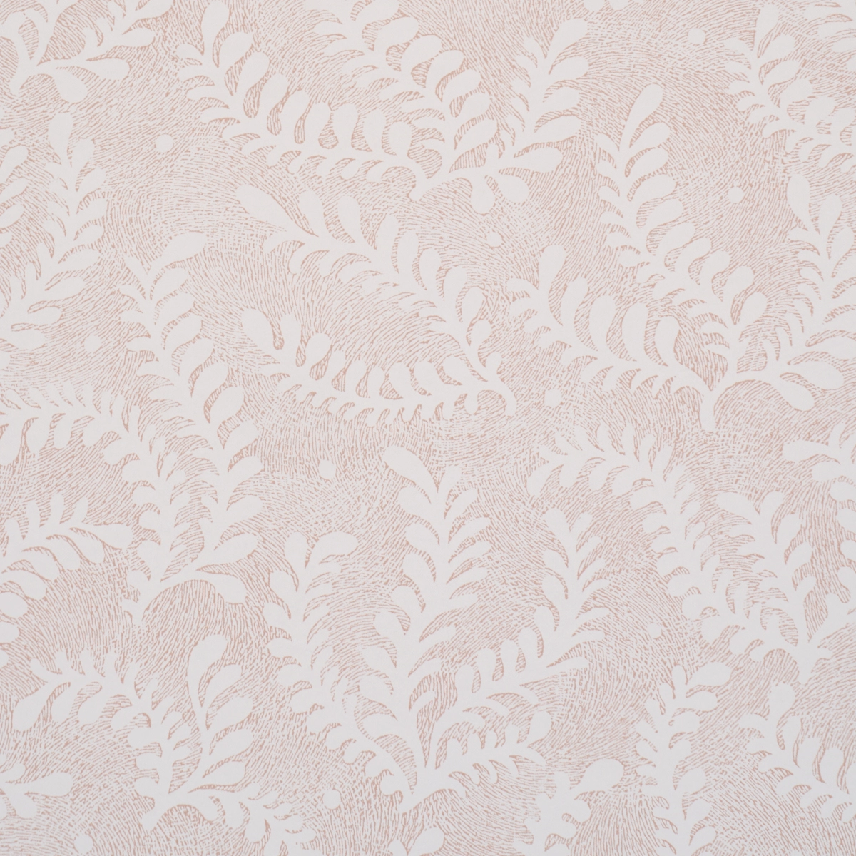 Etched Fern_ BLUSH