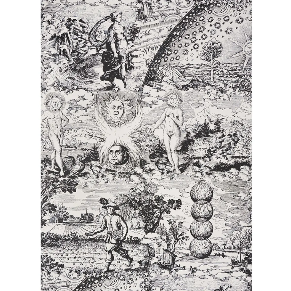Modern Toile_ BLACK