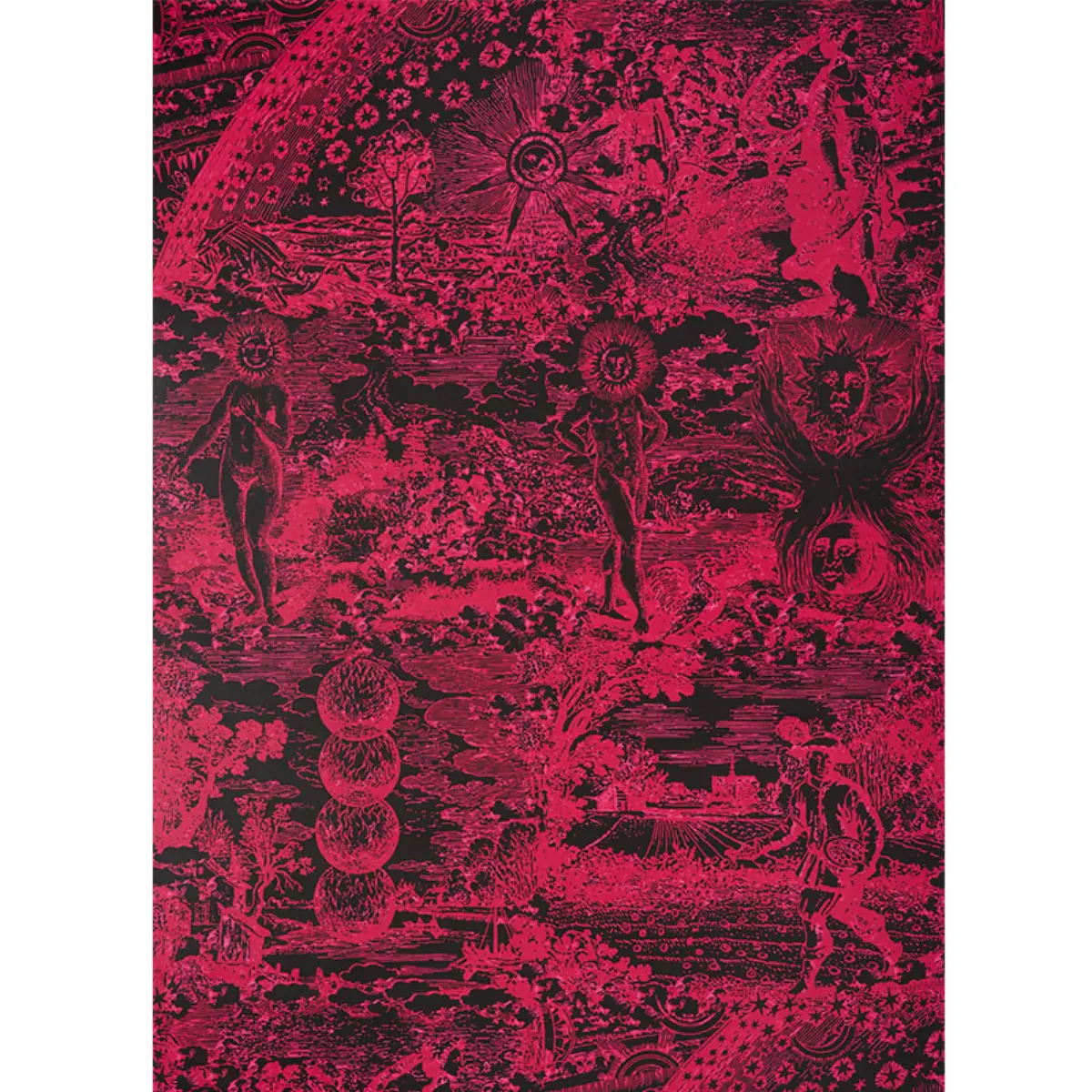 Modern Toile_ PINK & BLACK