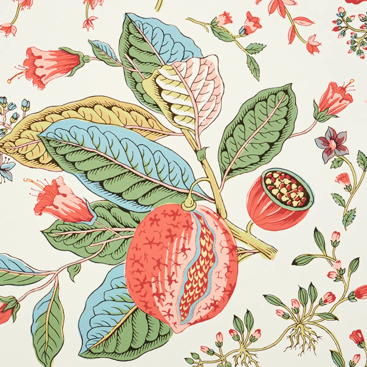 POMEGRANATE BOTANICAL_ DOCUMENT