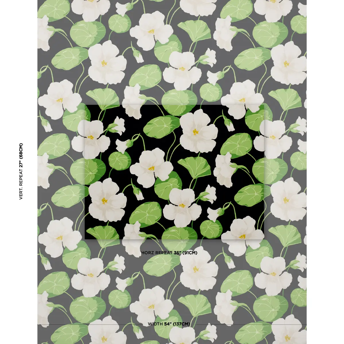 NASTURTIUM_ NOIR