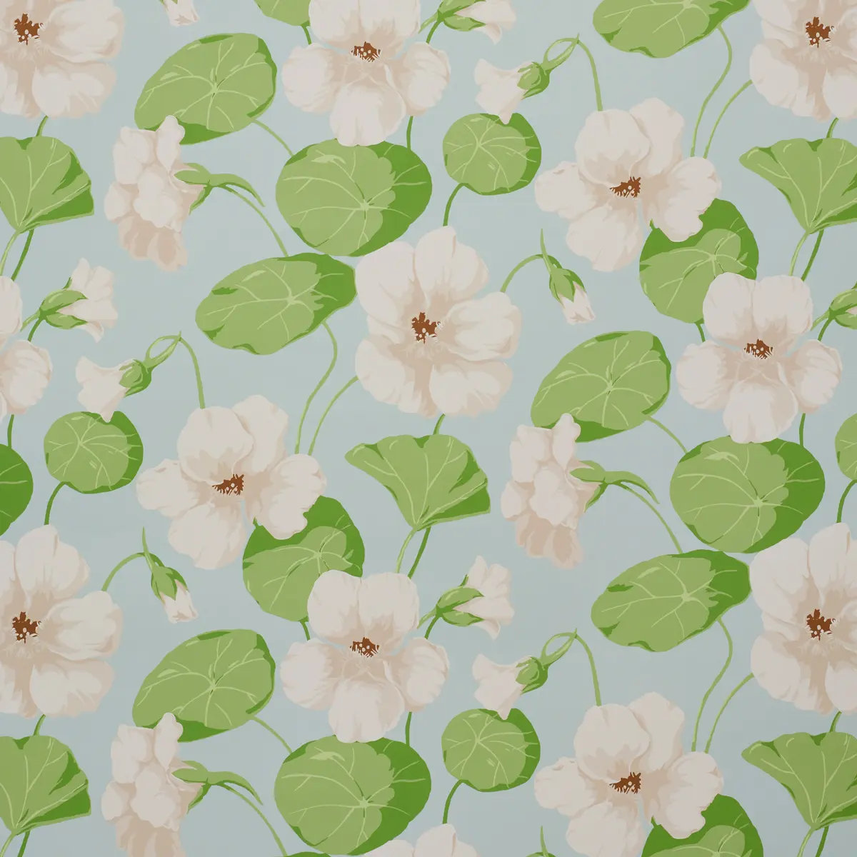 NASTURTIUM_ SKY