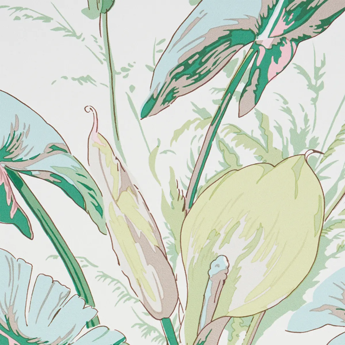 TROPIQUE_ BLUSH