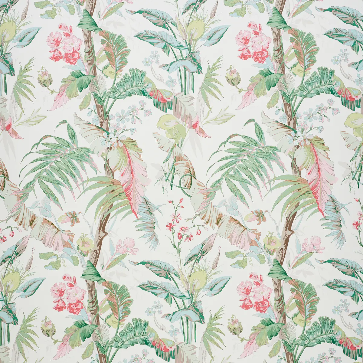 TROPIQUE_ BLUSH