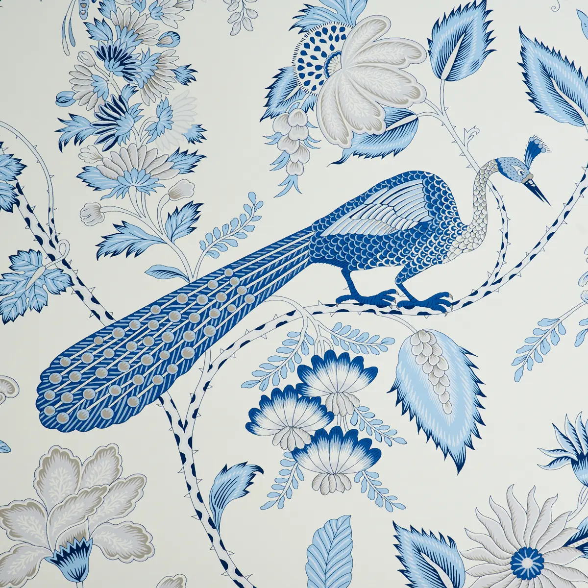 CAMPAGNE_ BLEU & GRIS