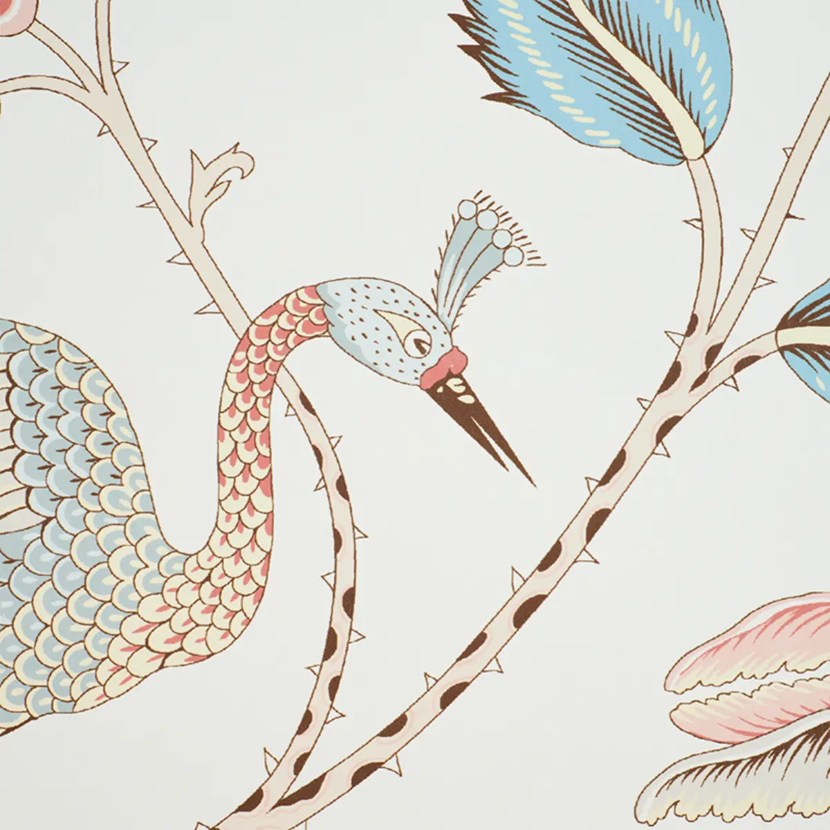 CAMPAGNE_ PEACOCK & ROUGE