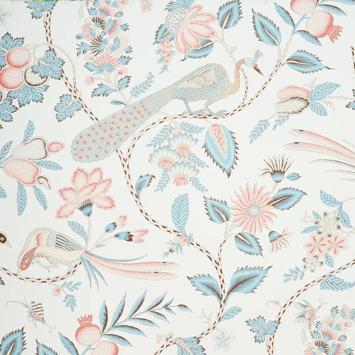 CAMPAGNE_ PEACOCK & ROUGE