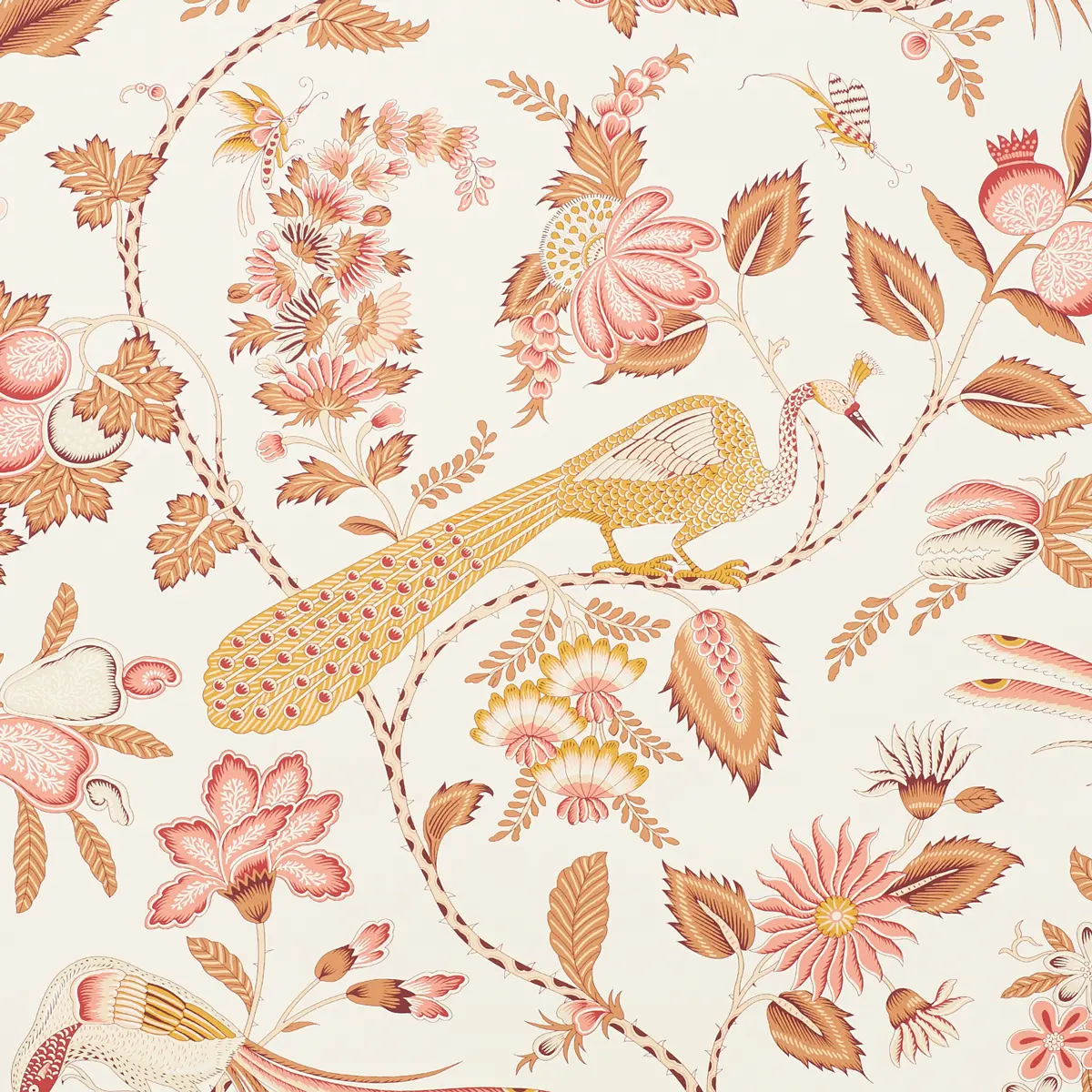 CAMPAGNE_ ROSE & OCHRE