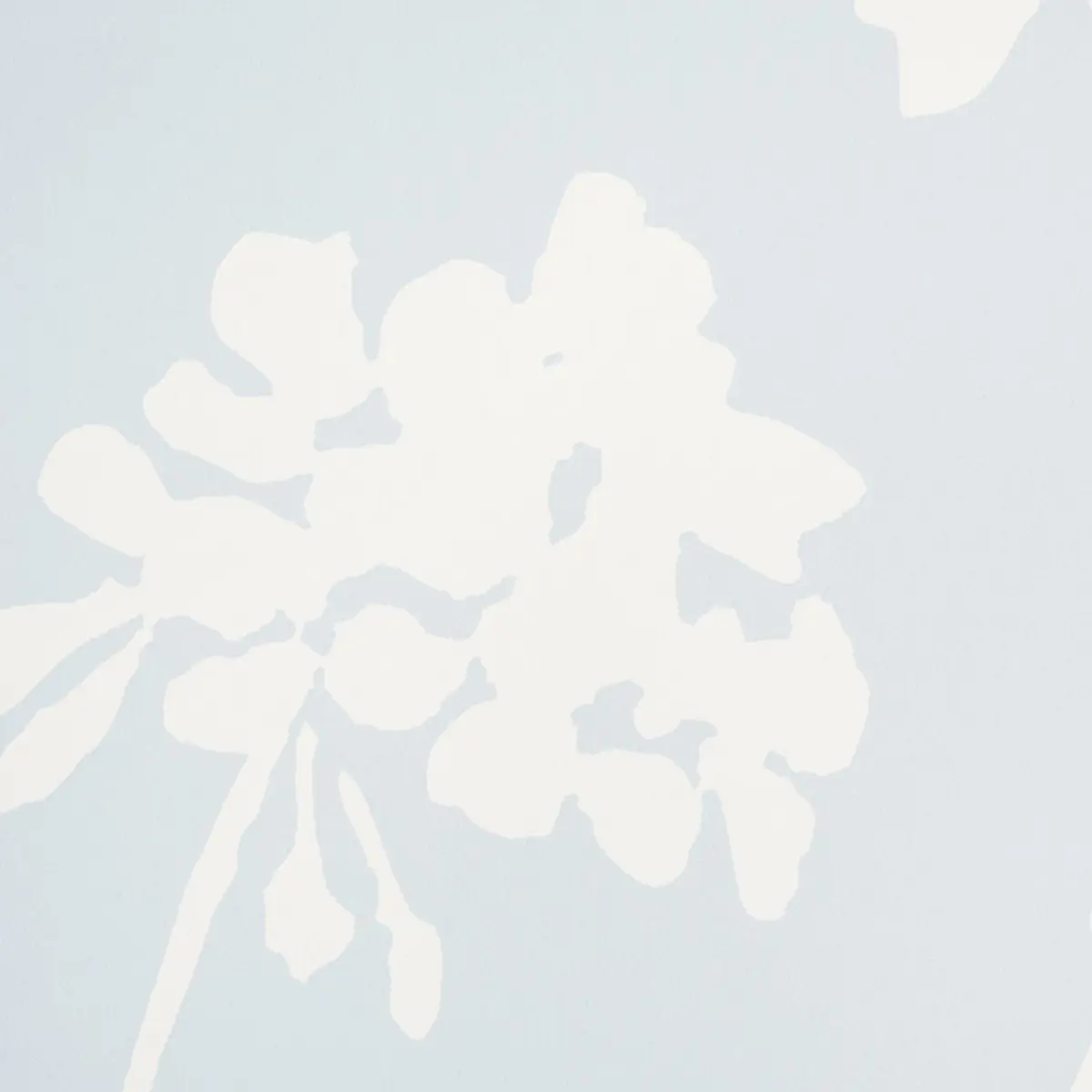 PENNICK_ SKY