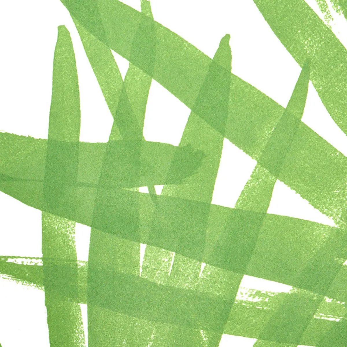 SUNLIT PALM_ GREEN