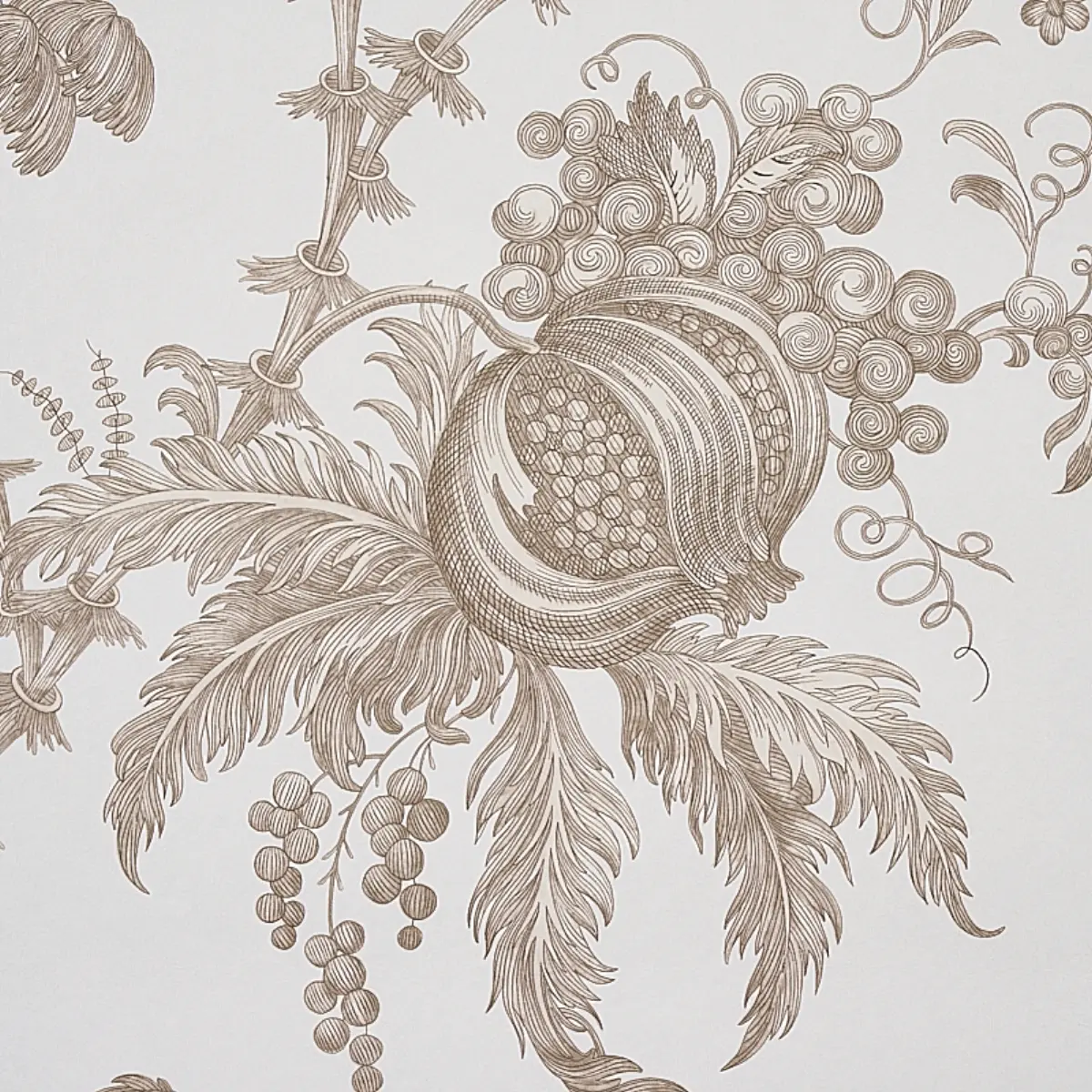 SAN CRISTOBAL TOILE_ COCOA