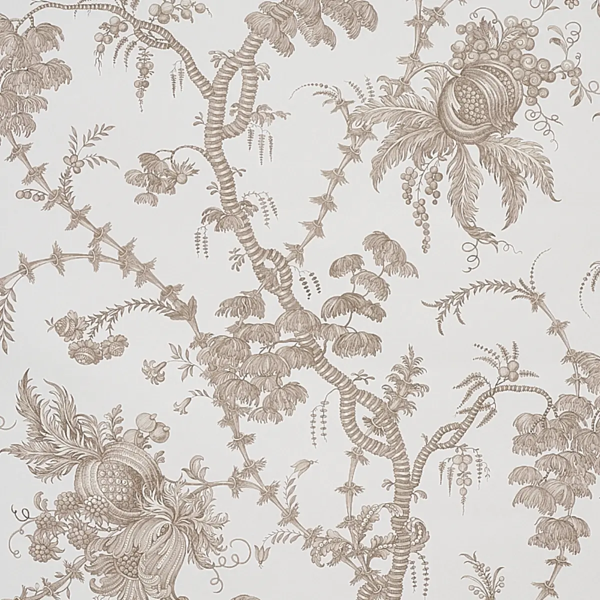 SAN CRISTOBAL TOILE_ COCOA