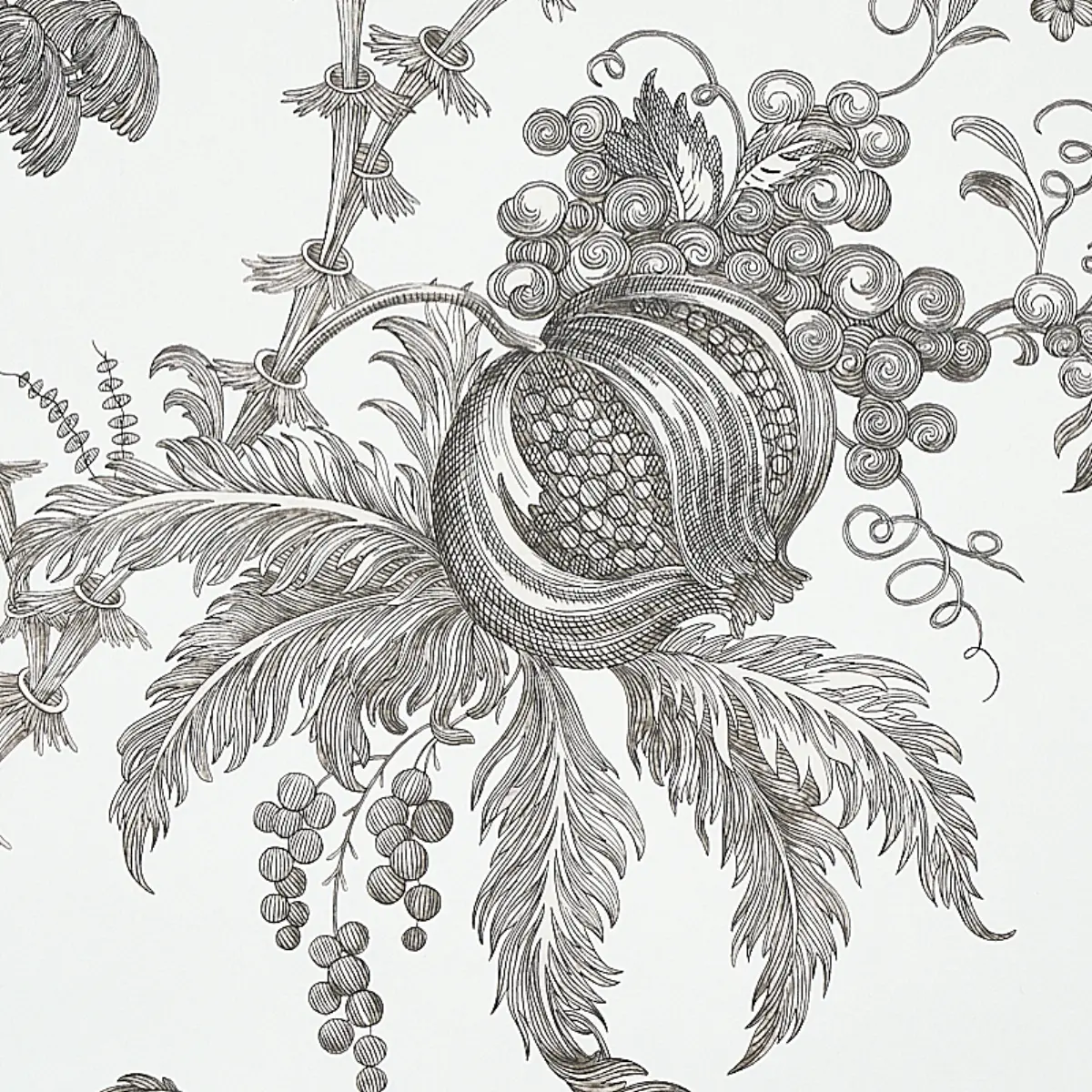 SAN CRISTOBAL TOILE_ BLACK