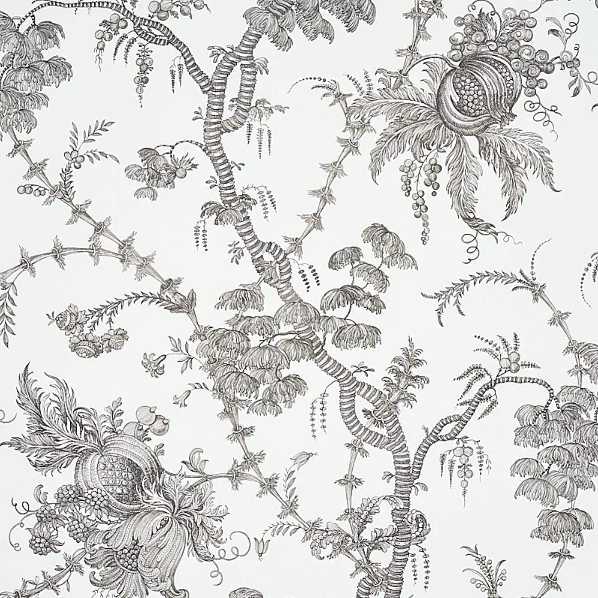 SAN CRISTOBAL TOILE_ BLACK