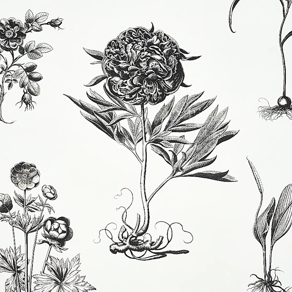 CABOT BOTANICAL LARGE_ IVORY